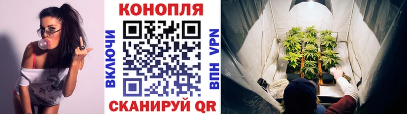 Купить где  Нальчик  Каннабис White Widow